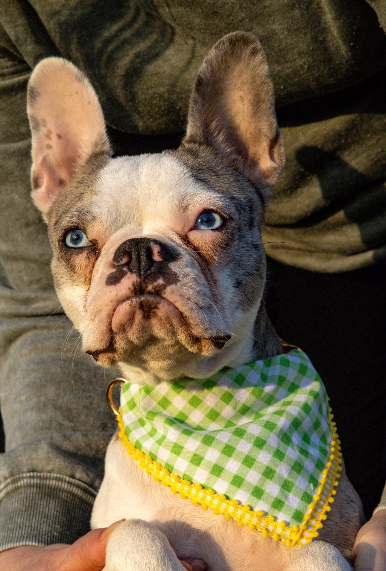 Green Plaid Bandana