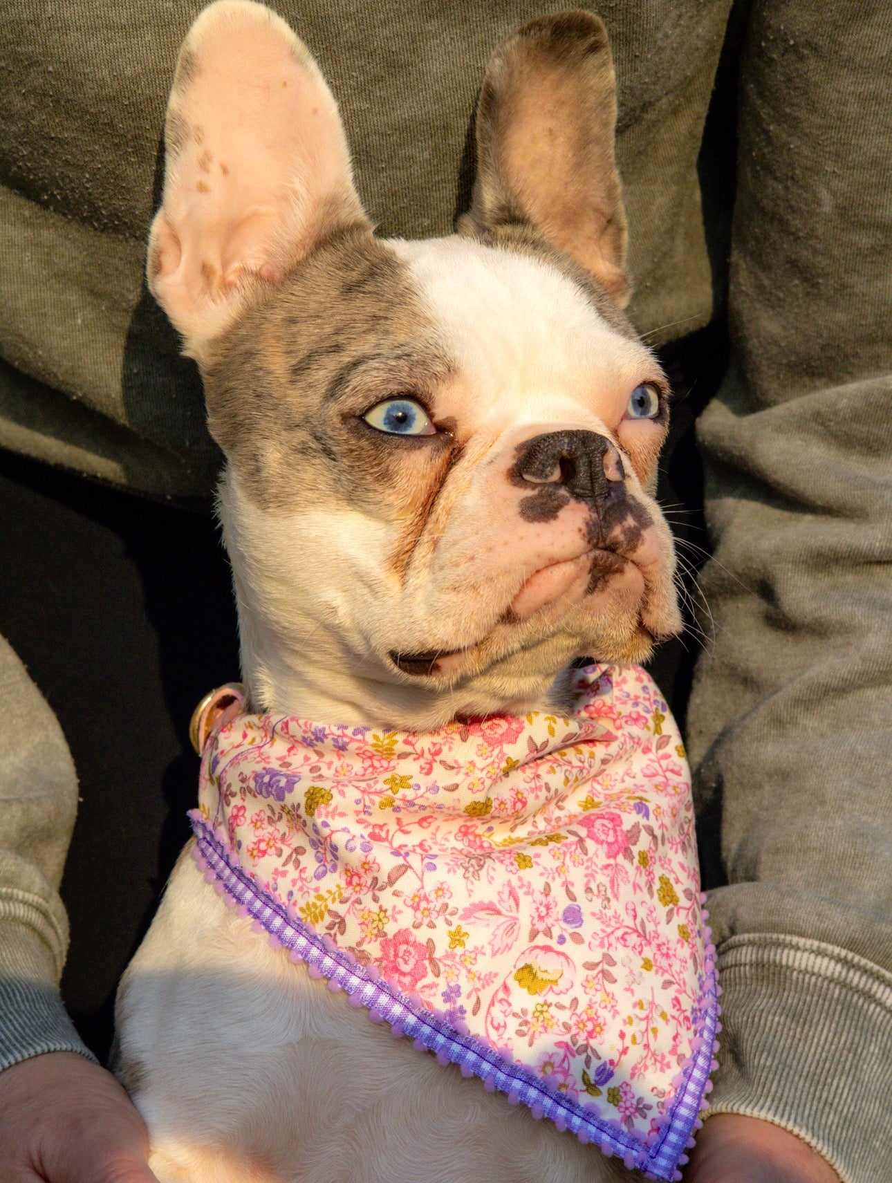 Purple Floral Bandana