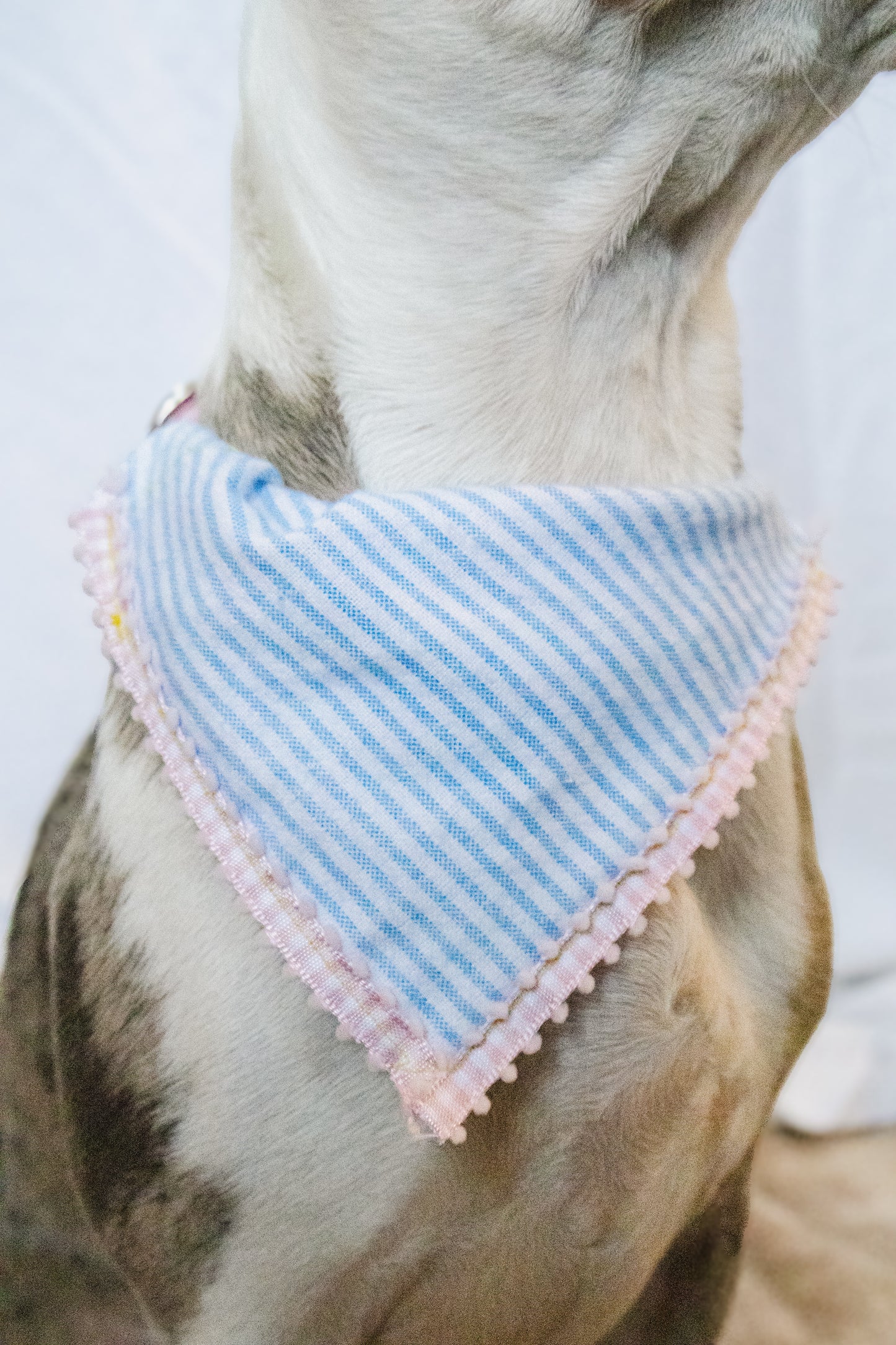 BLUE STRIPED BANDANA