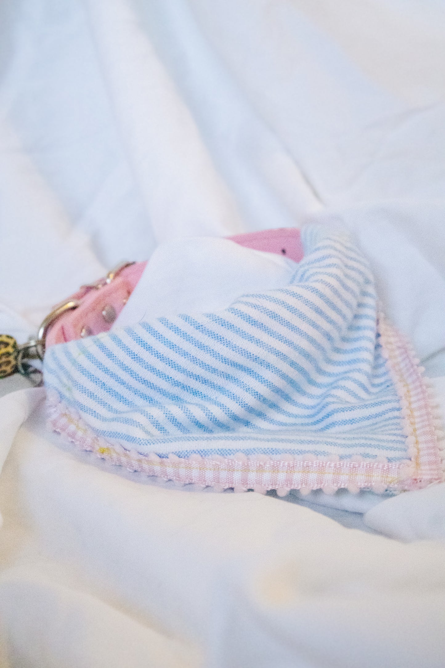 BLUE STRIPED BANDANA