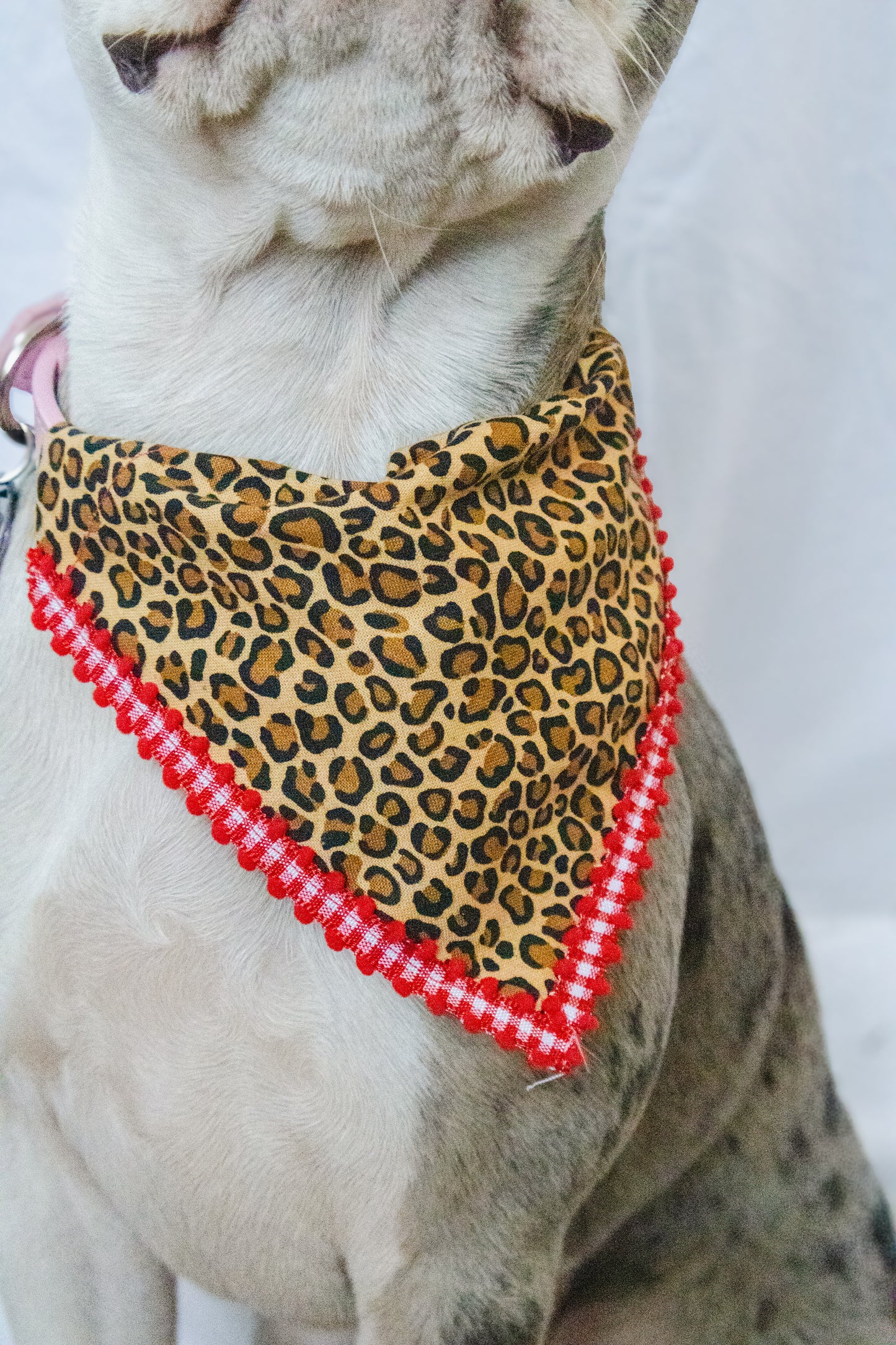 CHEETAH BANDANA