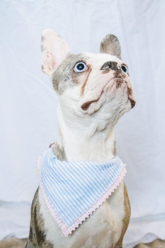 BLUE STRIPED BANDANA