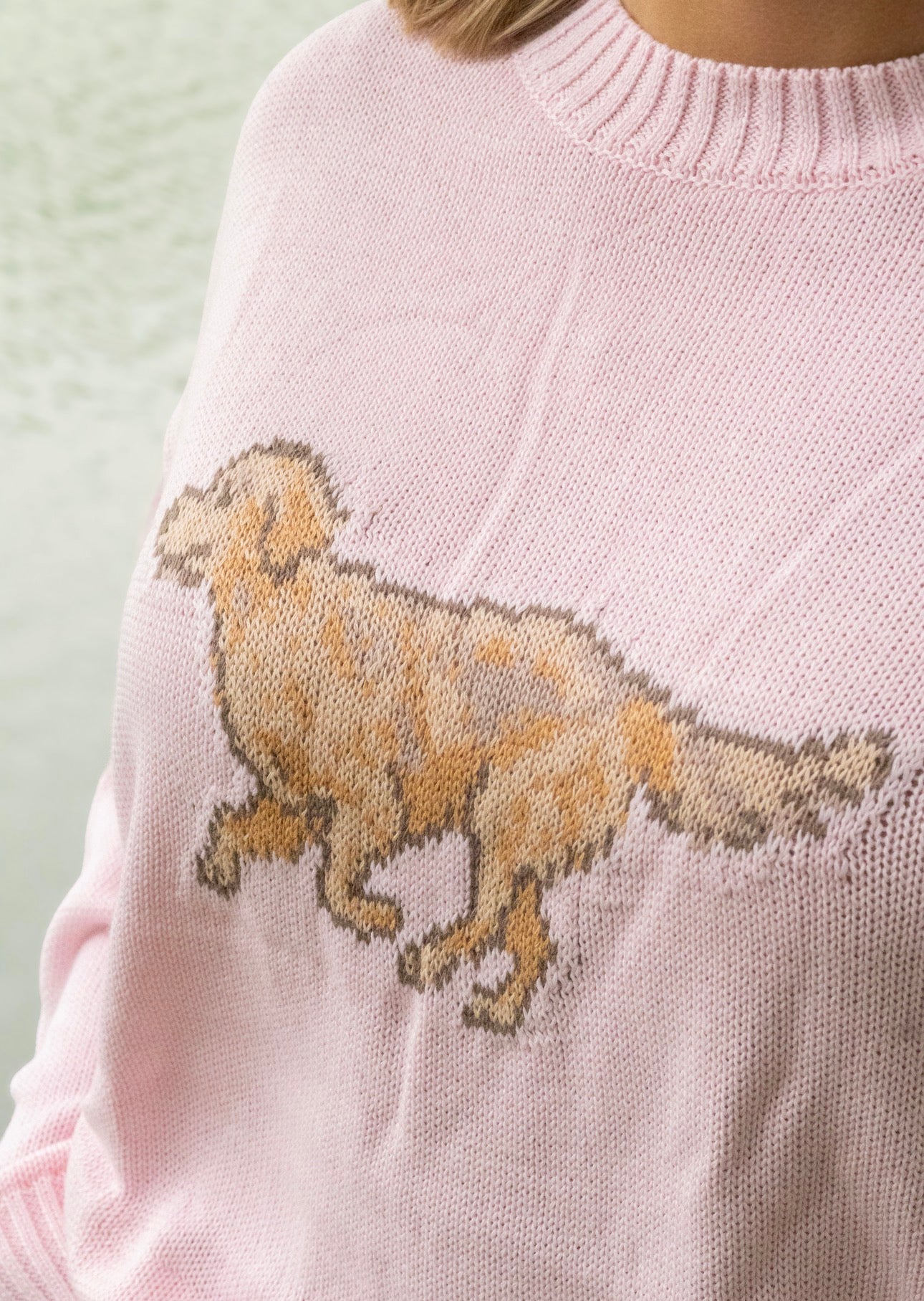 Coastal Dog Sweater