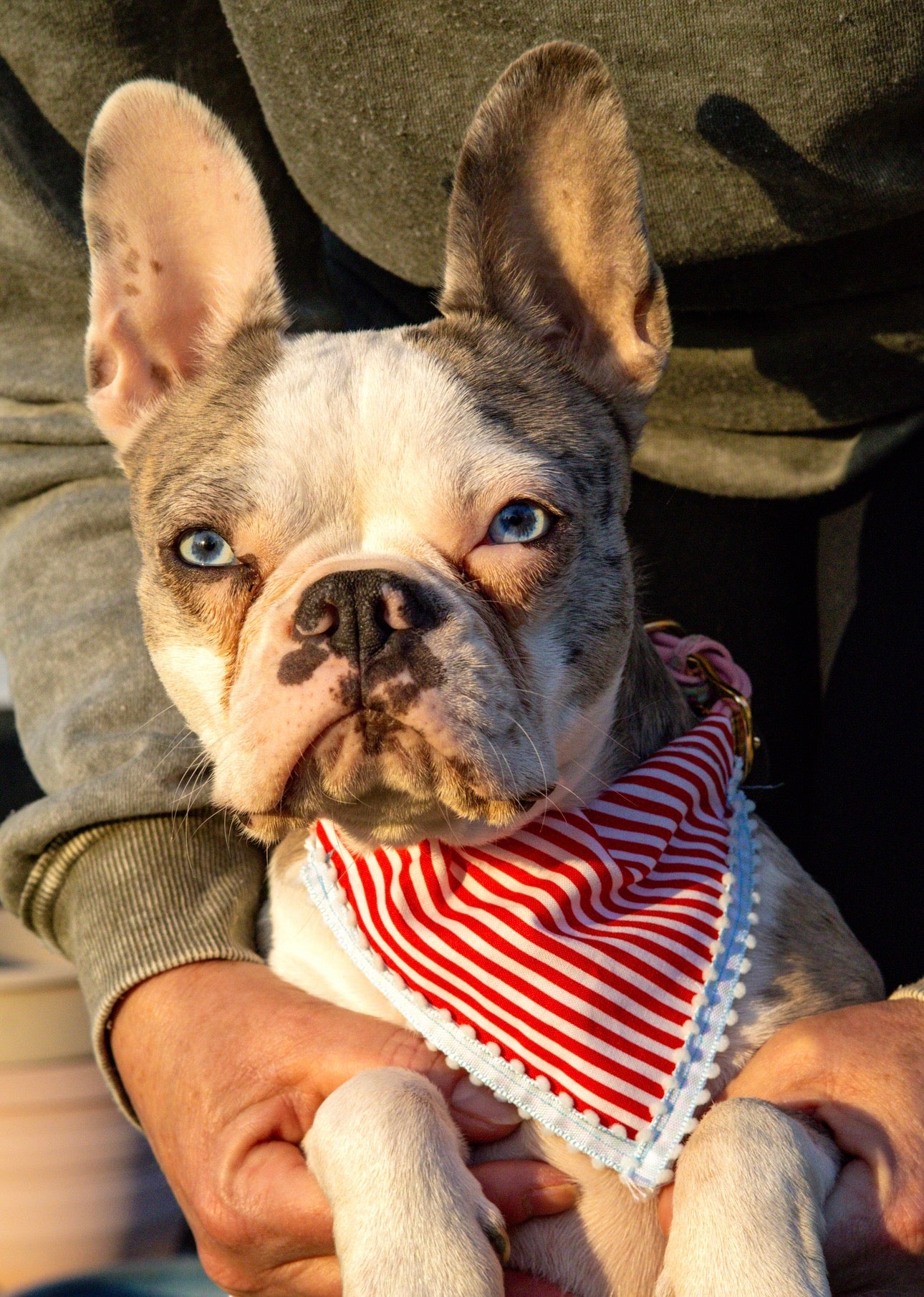 Red Striped Bandana