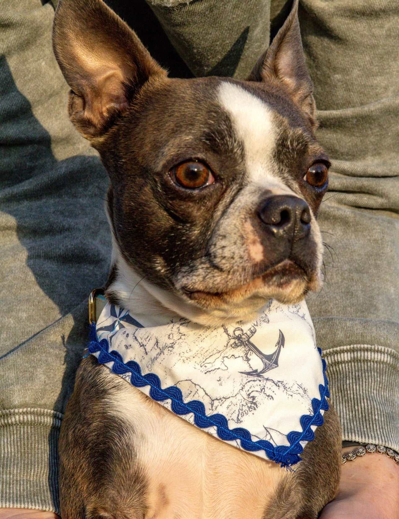 Coastal Bandana