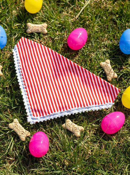 Red Striped Bandana