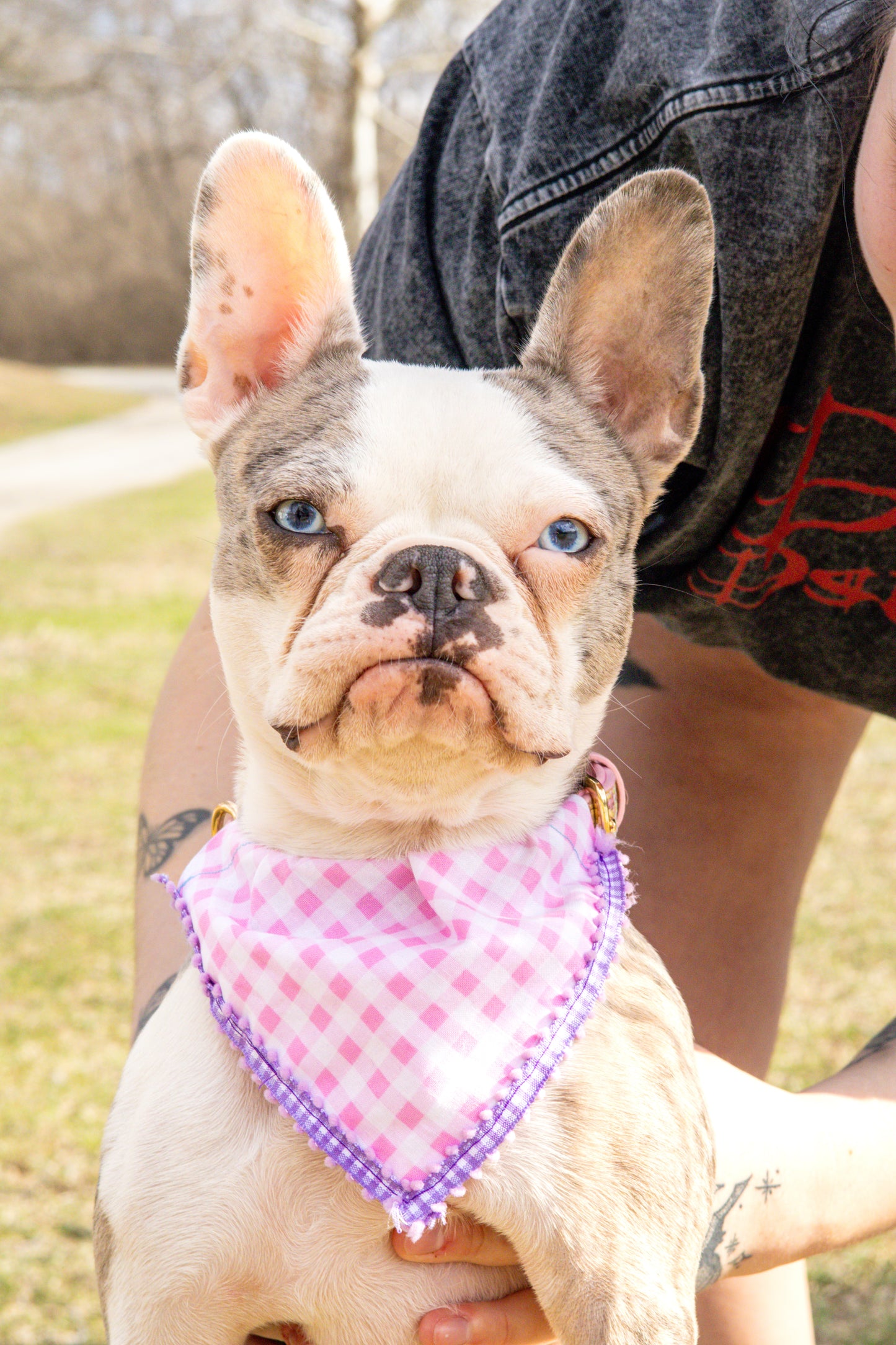 Pink Plaid Bandana